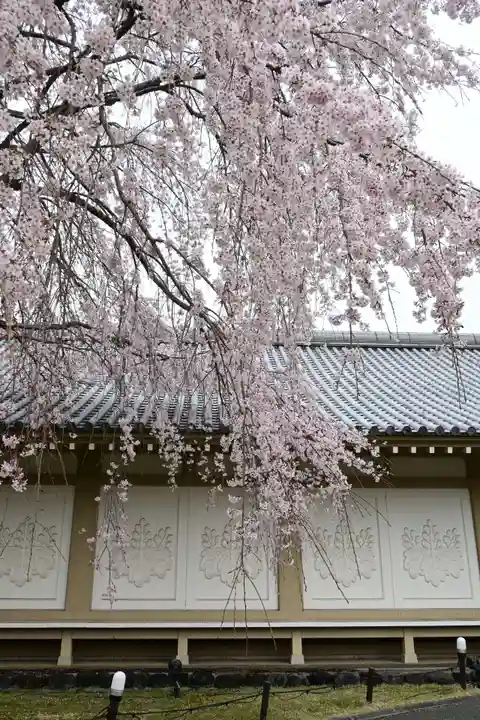 醍醐寺(京都府)