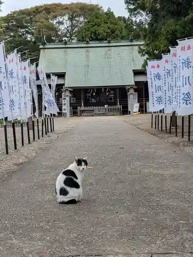 鎌数伊勢大神宮(千葉県)