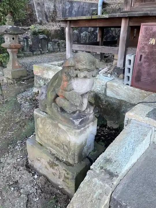 杉山社(帷子町杉山社・久保杉山神社)の狛犬