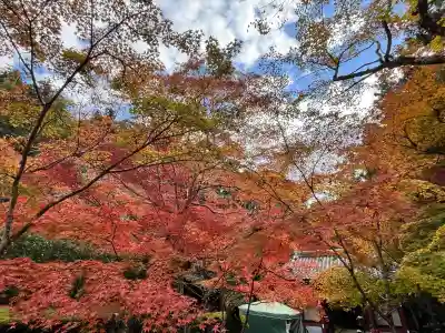 神峯山寺(大阪府)