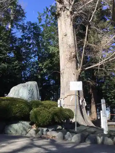深見神社の自然