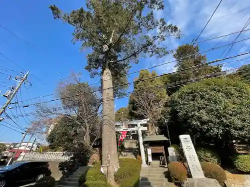 長津田王子神社(神奈川県)