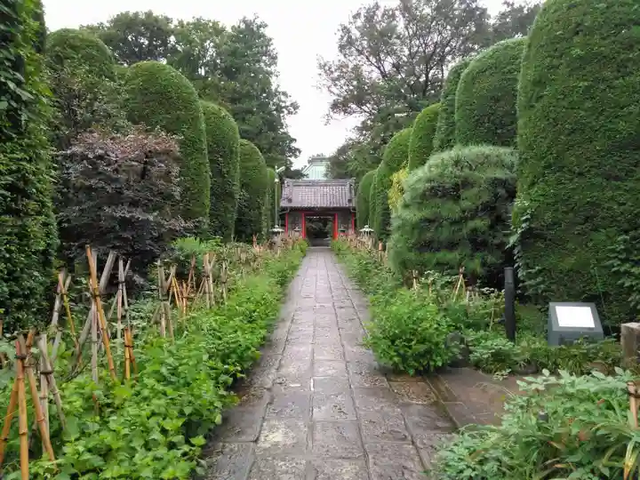 西福寺(東京都)