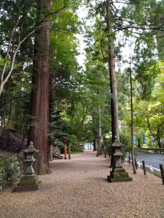 丹生川上神社(中社)(奈良県)