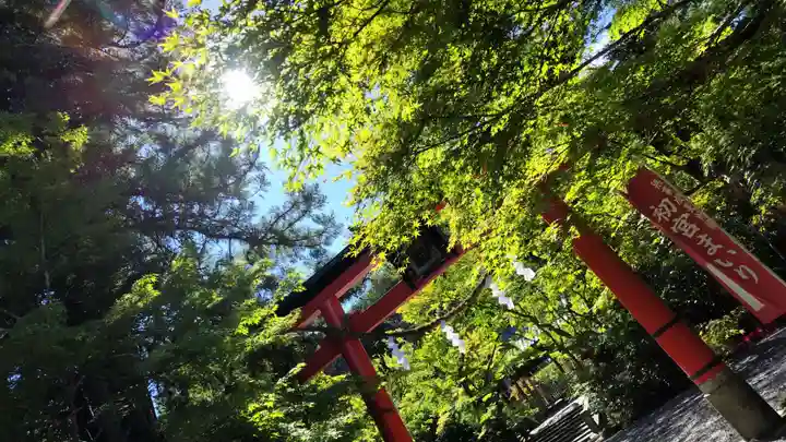 鍬山神社(京都府)