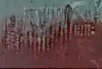 千代ケ丘椿神社(千代が丘)の歴史