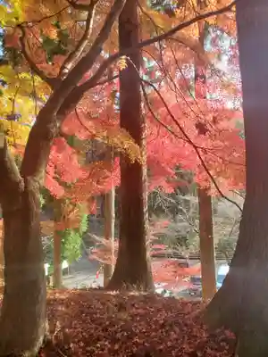 金藏院（聖法寺）(栃木県)