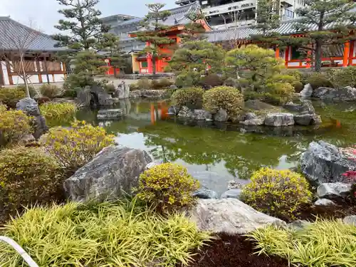 蓮華王院（三十三間堂）の庭園