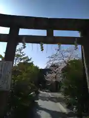 鳩森八幡神社(東京都)