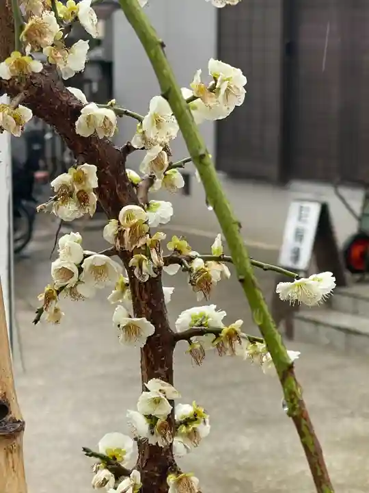 渋川神社(大阪府)