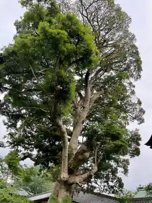宇賀神社(神奈川県)