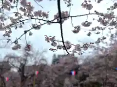 眞田神社(長野県)