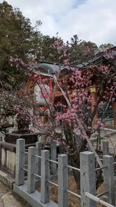 長岡天満宮の自然