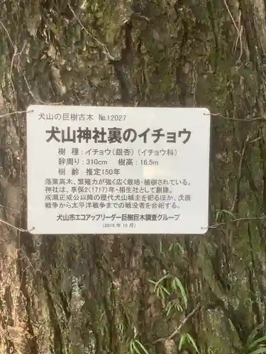 犬山神社の自然