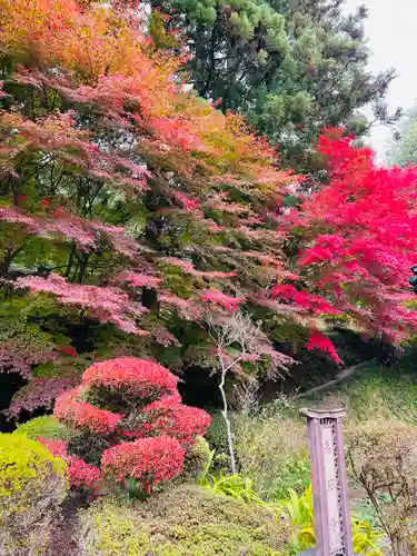 黒石寺(岩手県)
