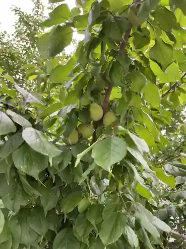 上野天満宮(愛知県)