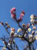 大生郷天満宮の自然