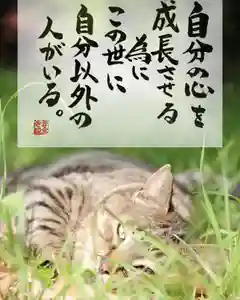 専念寺(大阪府)(2022年05月29日(日) 19時54分01秒投稿)