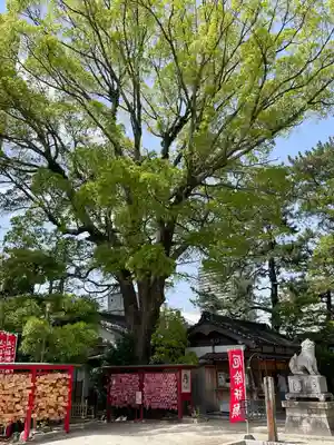 菅生神社(愛知県)