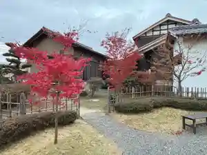 大源寺の庭園(2024年12月04日(水) 20時07分03秒投稿)