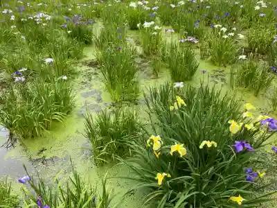 本土寺(千葉県)