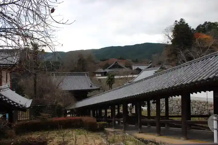 長谷寺の本殿・本堂