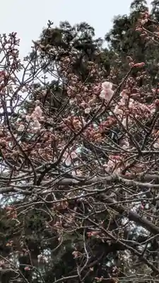石山寺(滋賀県)