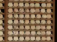 河合神社(鴨川合坐小社宅神社)の絵馬