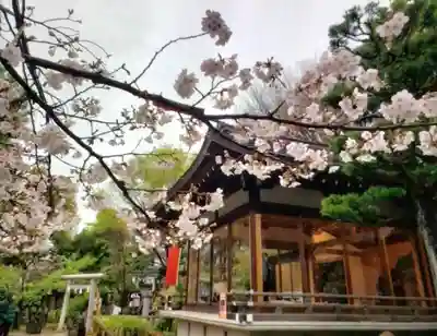 鳩森八幡神社(東京都)