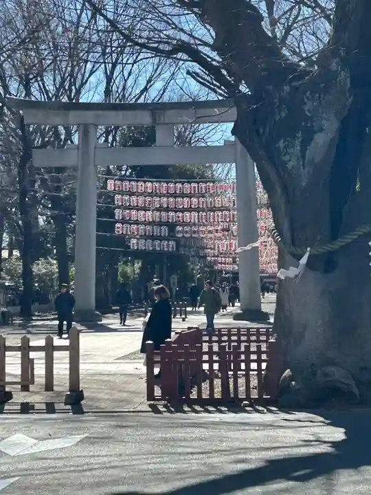 大國魂神社(東京都)
