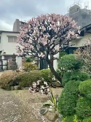 正法寺の{uncategorized: "未分類", other: "その他", undefined: "問題あり", building: "その他建物", grave: "お墓", sacred_gate: "鳥居", guardian: "狛犬", statue: "像", buddha: "仏像", history: "歴史", nature: "自然", garden: "庭園", animal: "動物", pagoda: "塔", temizu: "手水舎", mountain_gate: "山門・神門", sanctuary: "本殿・本堂", subordinate: "末社・摂社", art: "芸術", scenery: "景色", jizo: "地蔵", ema: "絵馬", goshuin: "御朱印", omikuji: "おみくじ", items: "授与品その他", amulet: "お守り", goshuincho: "御朱印帳", eats: "食事", festival: "お祭り", votive_dance: "神楽", shichigosan: "七五三参", wedding: "結婚式", experience: "体験その他", initially: "初詣", around: "周辺", anti_infection: "感染症対策"}