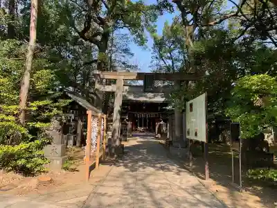 赤坂氷川神社の鳥居