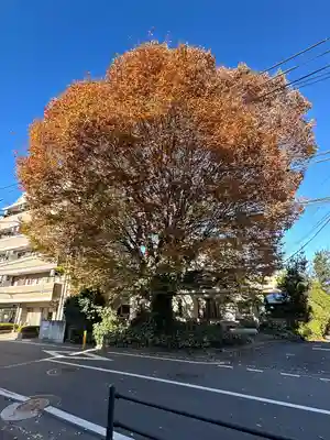 小野神社(東京都)