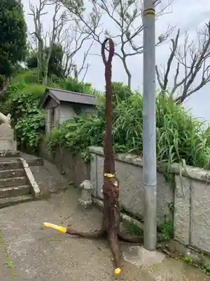 八幡神社(千葉県)