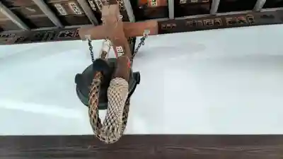 養願寺(東京都)