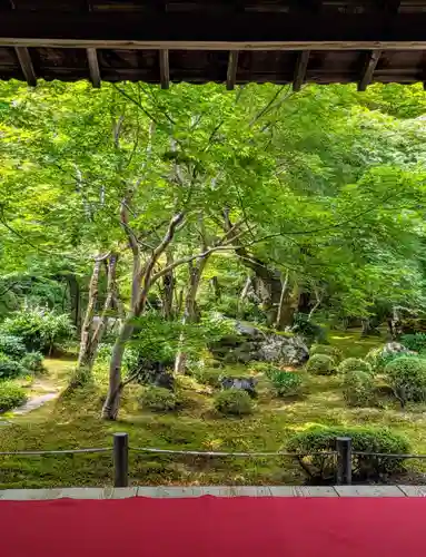 圓光寺(京都府)
