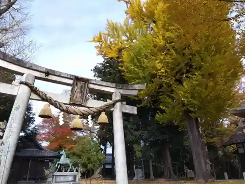 八幡神社(滋賀県)