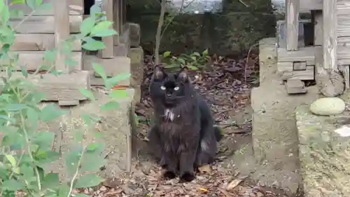 生出森八幡神社(里宮)の動物