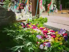 滑川神社 - 仕事と子どもの守り神の手水