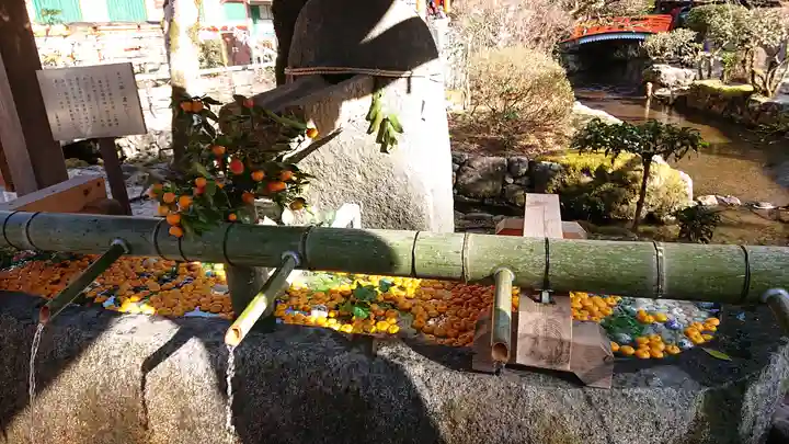 賀茂別雷神社(上賀茂神社)(京都府)