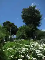 菅原神社(千葉県)