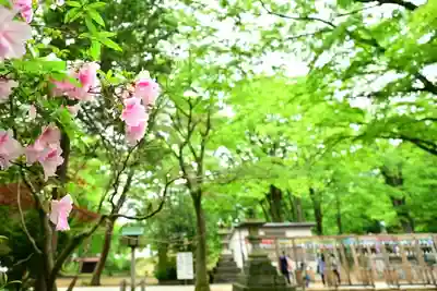 金峯神社(新潟県)