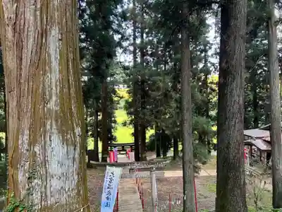 大宮温泉神社(栃木県)