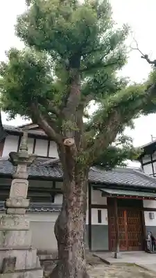 寿琳寺の自然