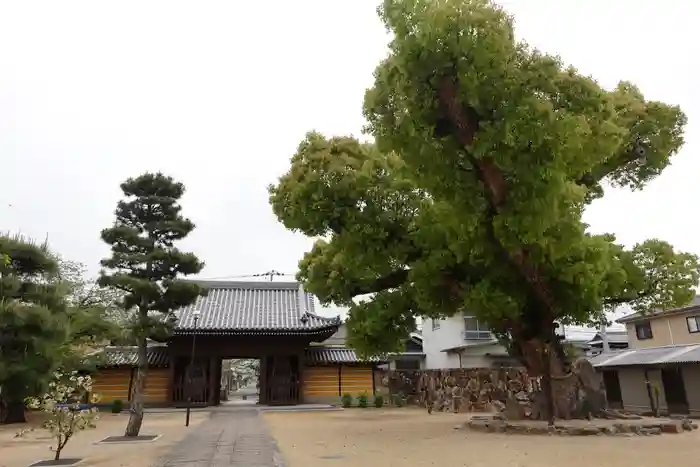 金倉寺の建物その他