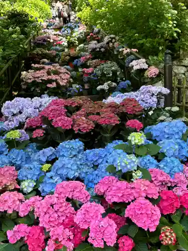 長谷寺(奈良県)