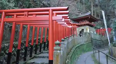 狸谷山不動院の鳥居