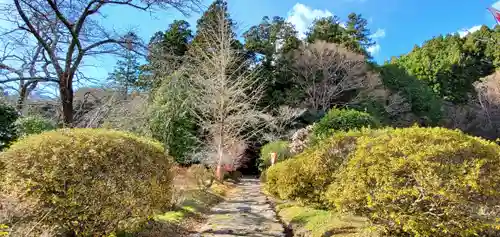 高藏寺の景色