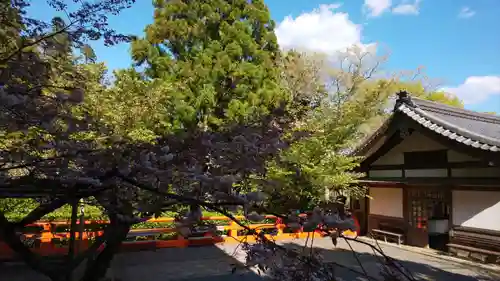 鞍馬寺のその他建物