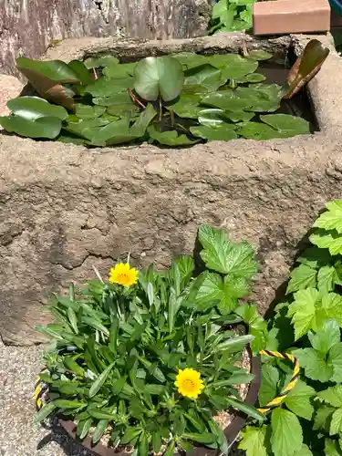 少林寺(神奈川県)